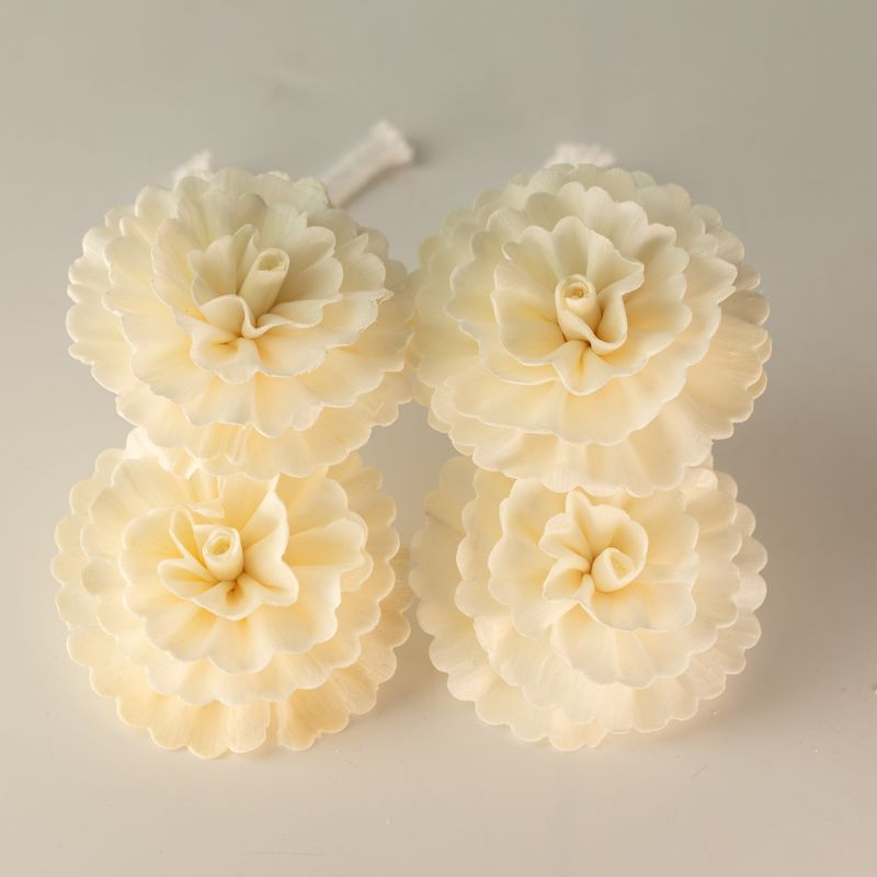 Natural Diffuser Flowers – Medium Carnation on String