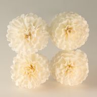 Natural Diffuser Flowers – Carnation on Reed
