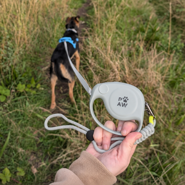 PAW Designer Retractable Pet Leads