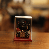 Mini Solar Powered Money Cat in Box - Black