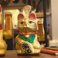 Large Money Cat