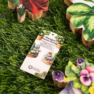 Wooden House Plants - Medium Pansy