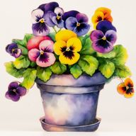 Wooden House Plants - Large Pansy