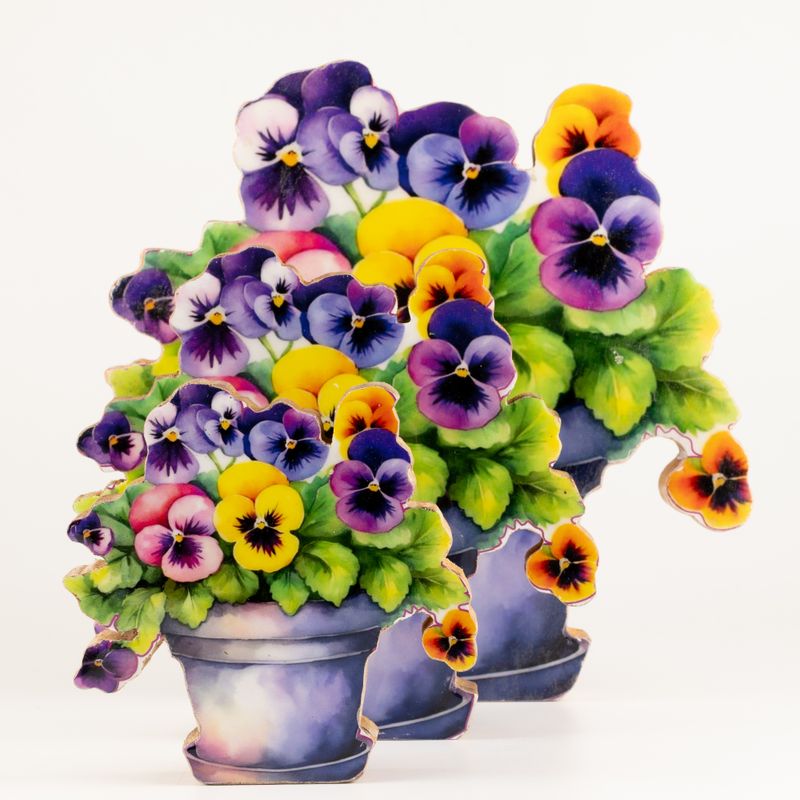 Wooden House Plants - Medium Pansy