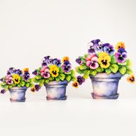 Wooden House Plants - Mini Pansy