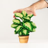 Wooden House Plants - Medium Jungle Plant