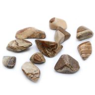 Pack of 24 L Tumble Stone - Kalahari Desert Stone