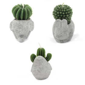Cactus Candles - Animal Pot (asst) Display