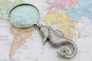 Vintage Magnifying Glasses - Seahorse