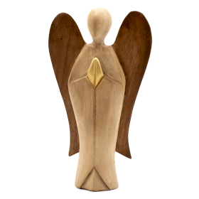 New Hati-Hati Angel - Friendship - 20cm