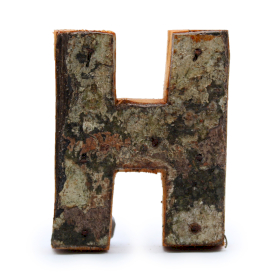 Rustic Bark Letter   - 