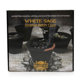 Box of 12 Resin Cups - White Sage