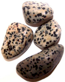 Pack of 24 Tumble Stone - Dalmation Jasper M