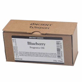 10x 10ml Blueberry Fragrance Oil 10ml - UNLABELLED