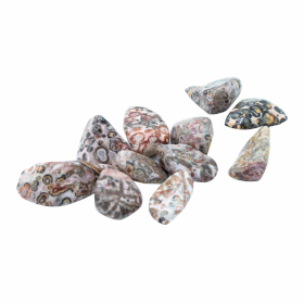 Pack of 24 Tumble Stone - Leopard Skin M