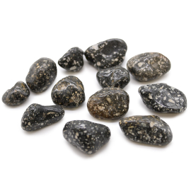 Bag of 12 Medium African Tumble Stones - Guinea Fowl Bag of 12 Medium