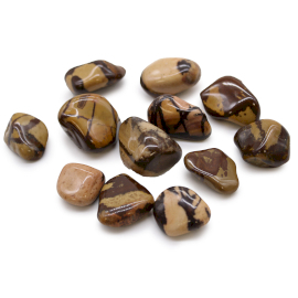 Bag of 12 Medium African Tumble Stones - Jasper Nguni
