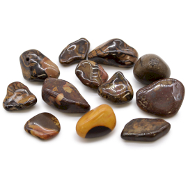 Bag of 12 Medium African Tumble Stones - Picture Nguni