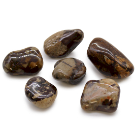 Bag of 6 Large African Tumble Stones - Jasper Nguni