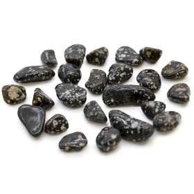 Bag of 24 Small African Tumble Stones - Guinea Fowl