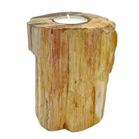 Petrified Wood Candle Holder - Single Tall