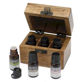Top 6 Essential Oils Aromatherapy Box