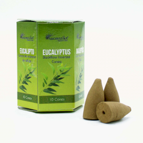 Masala Backflow Incense pack of 10 - Eucalyptus