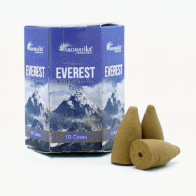 Masala Backflow Incense pack of 10 - Everest