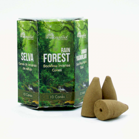 Masala Backflow Incense pack of 10 - Rain Forest