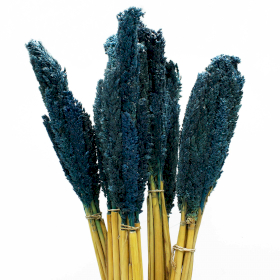 6x Cantal Grass Bunch - Blue