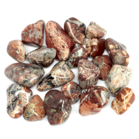 20x 20x 20x African Gemstone Jasper - Brecciated - Light