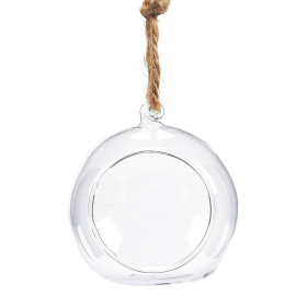 All Glass Terrarium - Globe Hanging Bowl