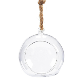All Glass Terrarium - Globe Hanging Bowl