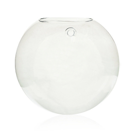 All Glass Terrarium - Large Hanging Wall Bowl