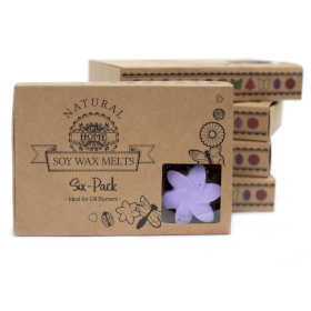 Gift Set of 6 Wax Melts - Lavender Fields