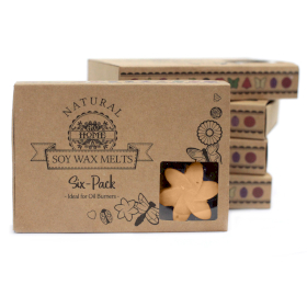 Gift Set of 6 Wax Melts  - Midnight Jasmine