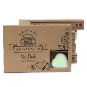 Gift Set of 6 Wax Melts - Apple Spice