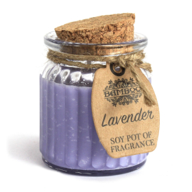 Lavender Soy Pot of Fragrance Candles