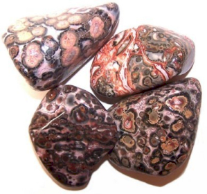 Pack of 24 L Tumble Stone - Leopard Skin Jasper L