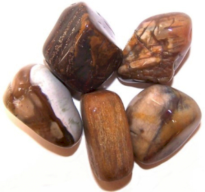 24x L Tumble Stones - Petrified Wood L