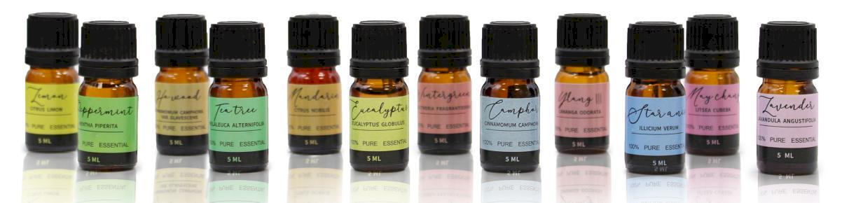 Aromatherapy Essential Oil Set - Starter Pack